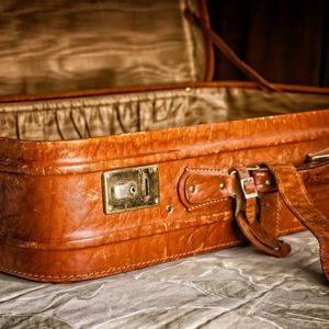 Reisen mit ungebetenen Gästen: Wie halten wir Schädlinge aus unseren Koffern fern?