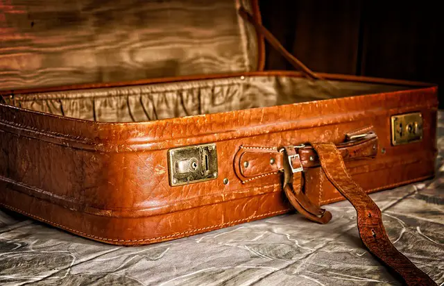 Reisen mit ungebetenen Gästen: Wie halten wir Schädlinge aus unseren Koffern fern?